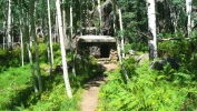 PICTURES/Flagstaff Hiking/t_Well House Woods3.JPG
